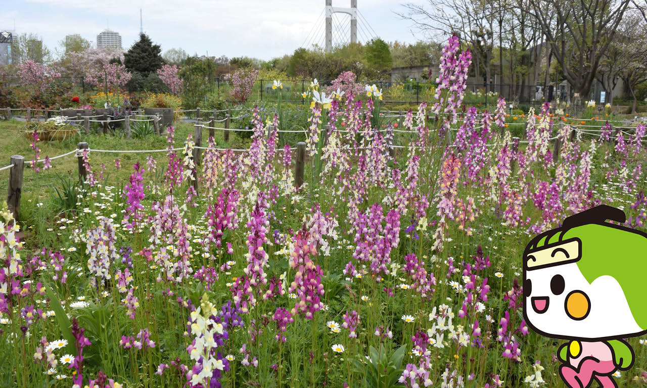 木場公園・都市緑化植物園2