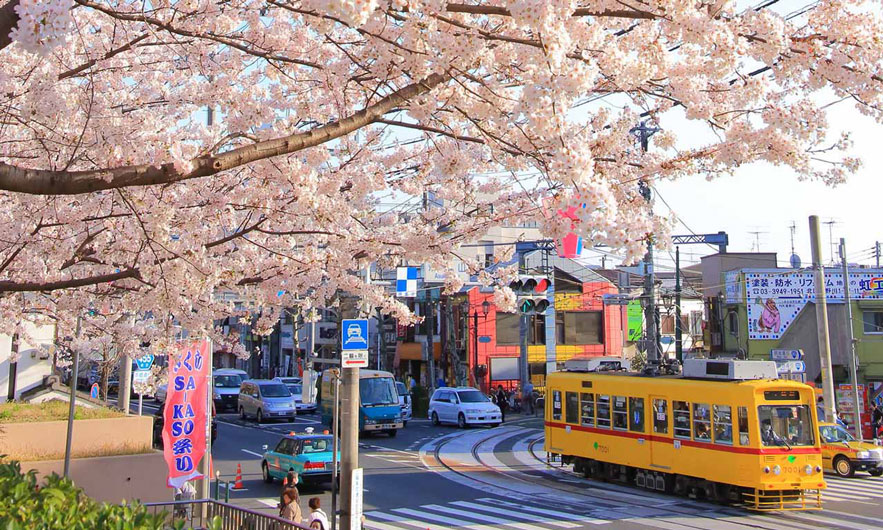 沿線で花見をしようTOP画像