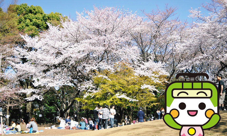 飛鳥山公園 画像