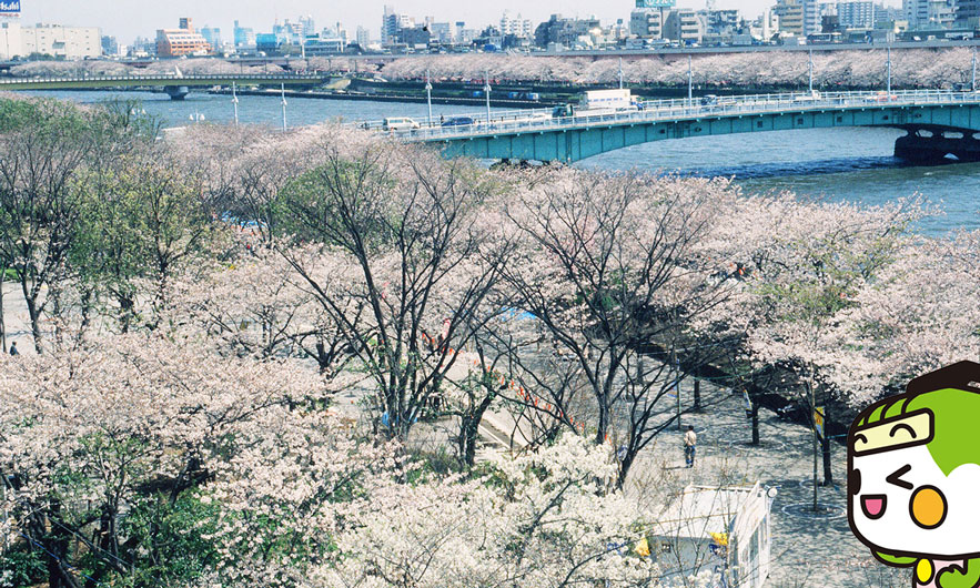 隅田公園 画像