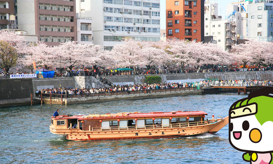 隅田公園 画像