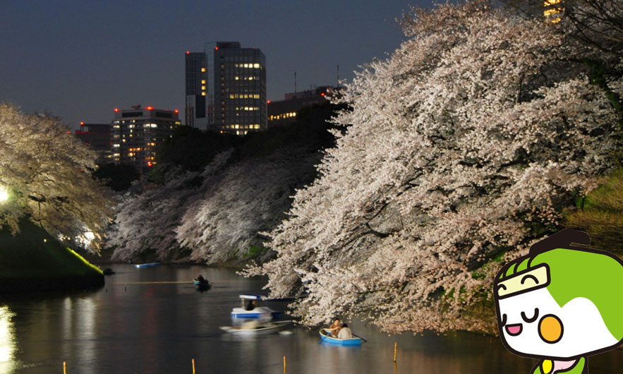 千鳥ヶ淵緑道 画像