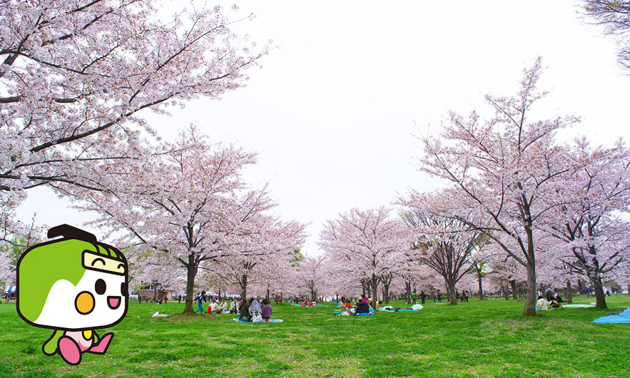 舎人公園 画像