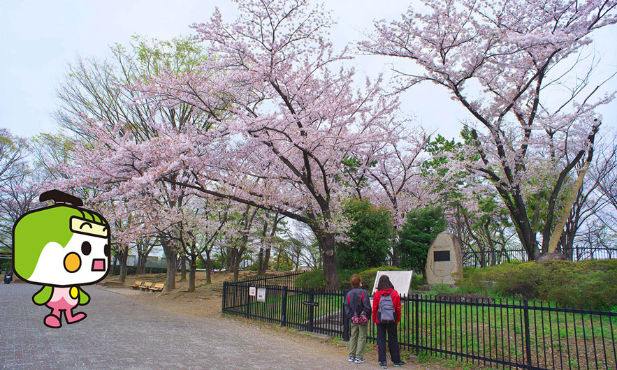 舎人公園 画像