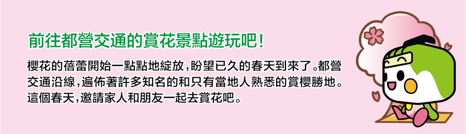 乘坐東京櫻花線（都電荒川線）巡遊沿線的賞櫻勝地吧！