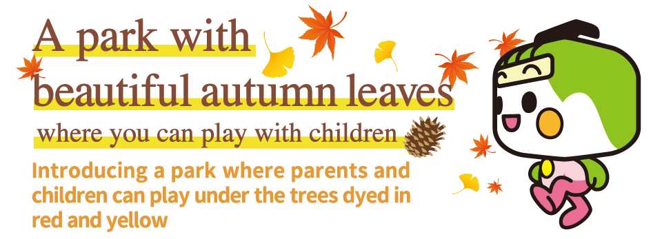 A park with beautiful autumn leaves where you can play with children