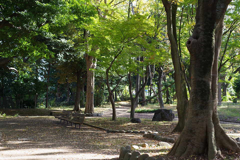 Asukayama Park