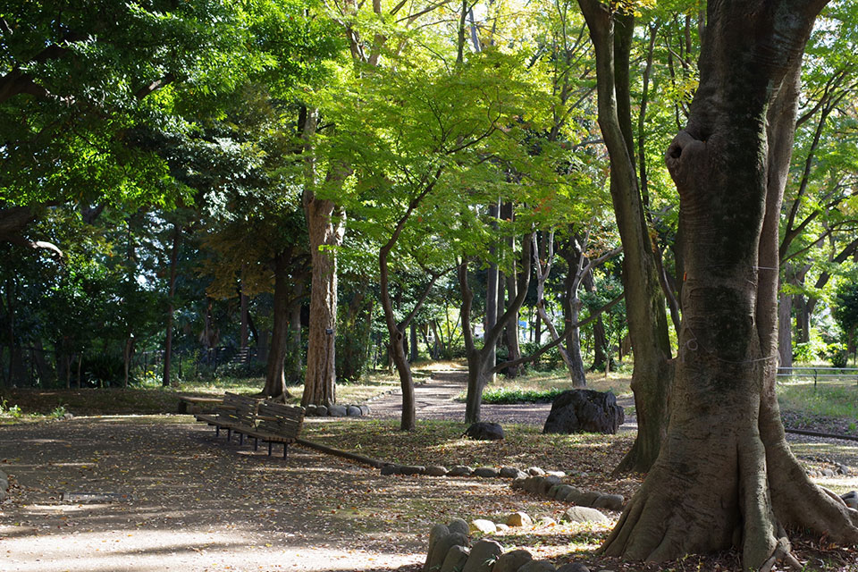 飞鸟山公园