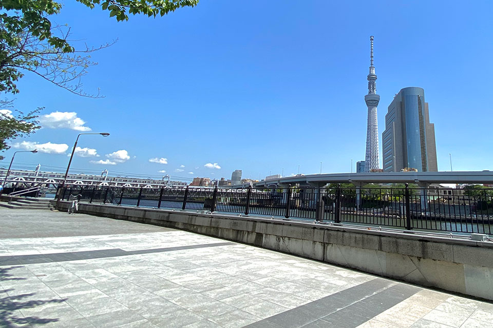 隅田公園（台東區側）