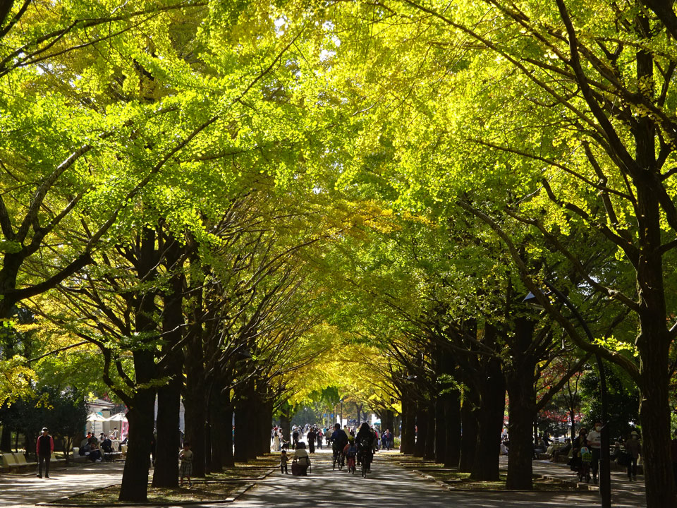 光が丘公園