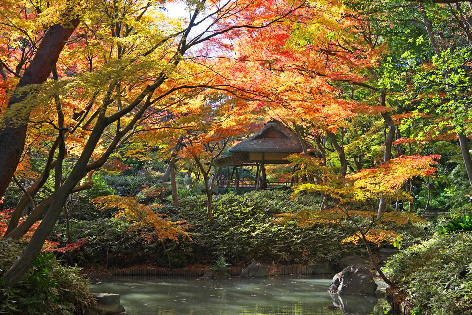 Rikugi-en Gardens