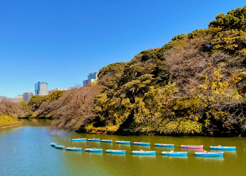 千鳥ヶ淵緑道・北の丸公園