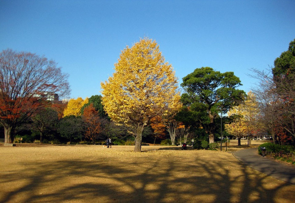 지도리가후치 산책로·기타노마루 공원