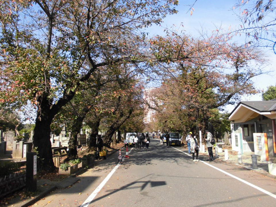 Yanaka Cemetery