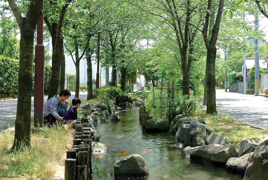이치노에사카이가와신스이 공원