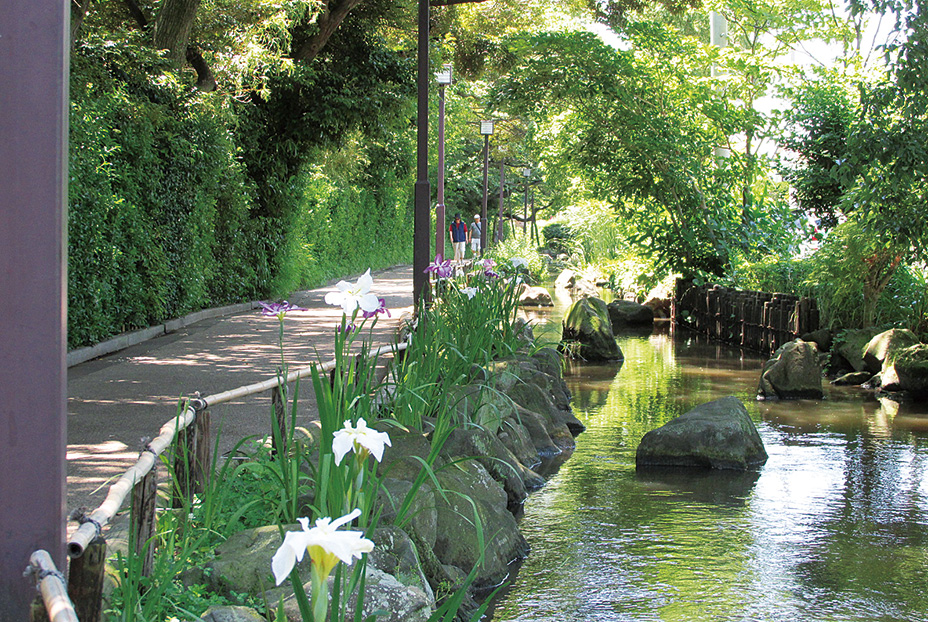 Ichinoe-sakaigawa Shinsui Park