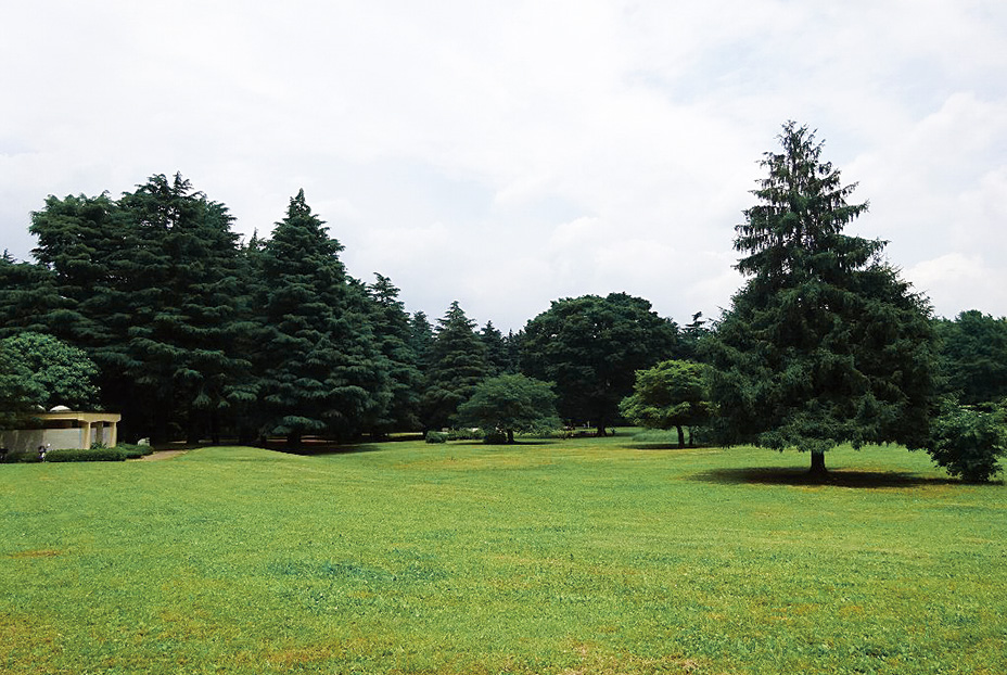 히카리가오카 공원
