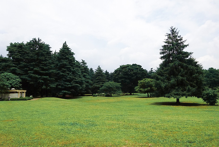 光が丘公園