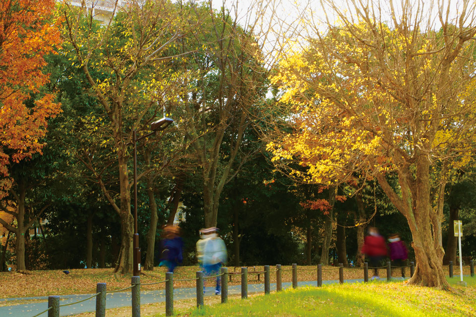 Ogunohara Park
