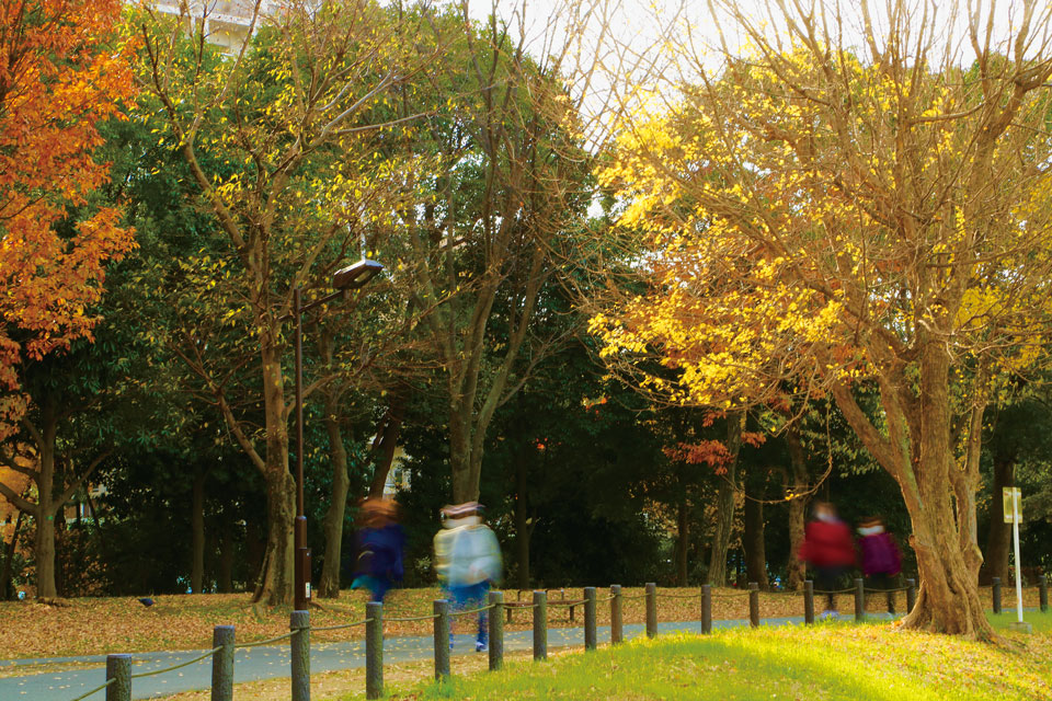 尾久の原公園