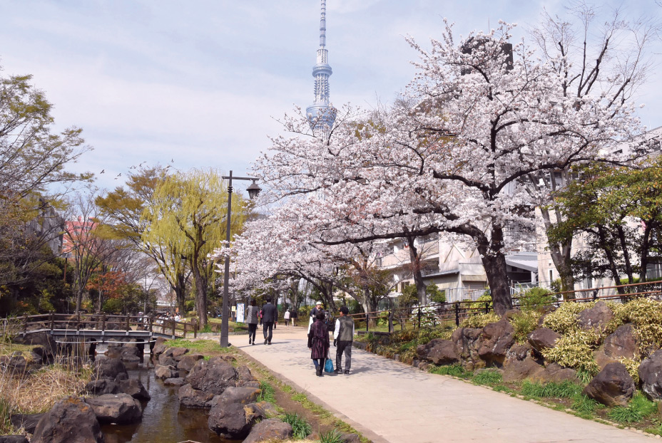 大橫川親水公園