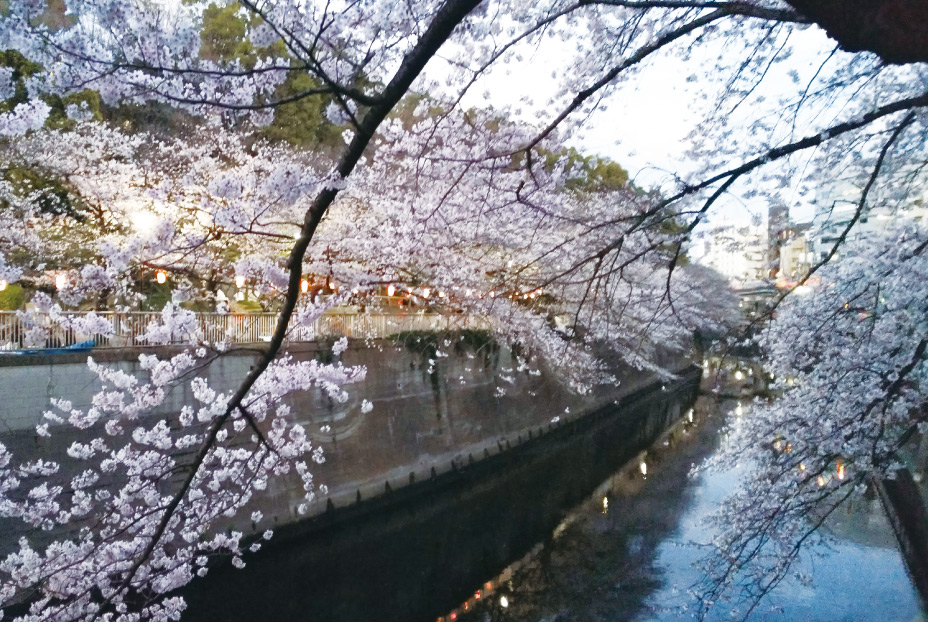 江户川公园