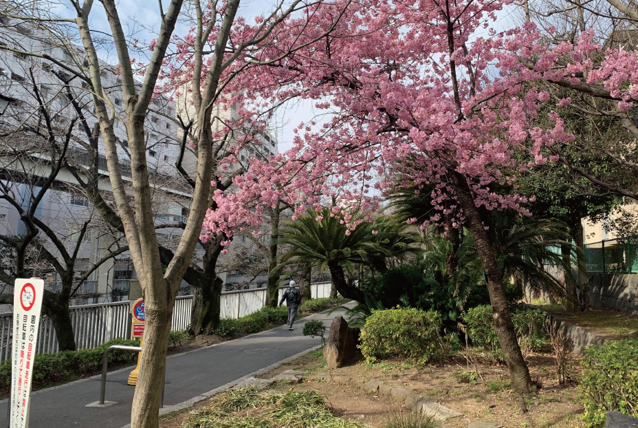 江户川公园