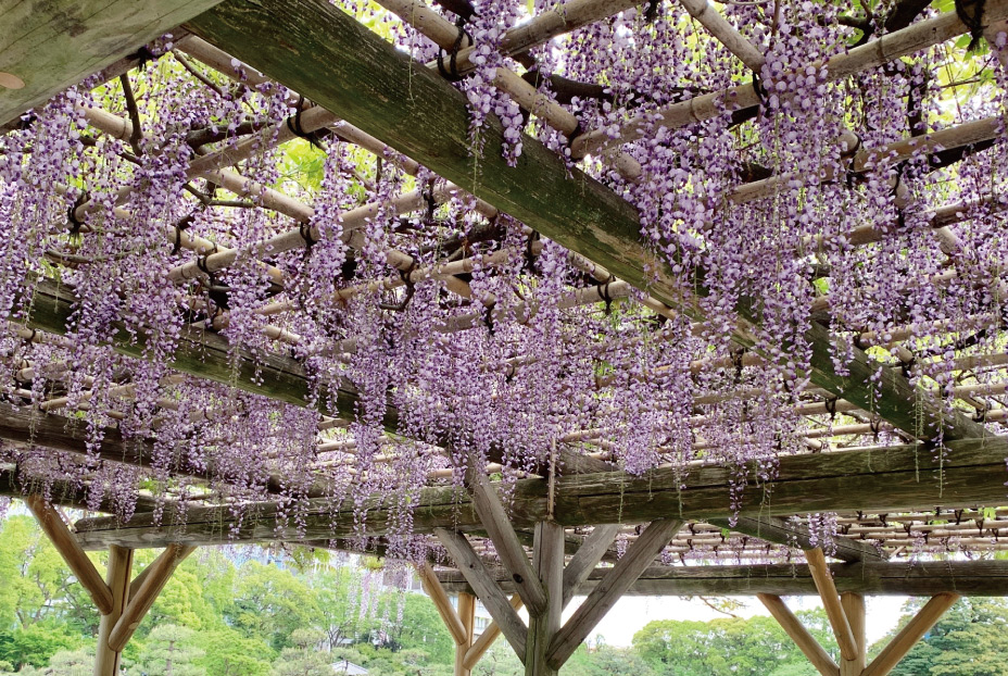 舊芝離宮恩賜庭園