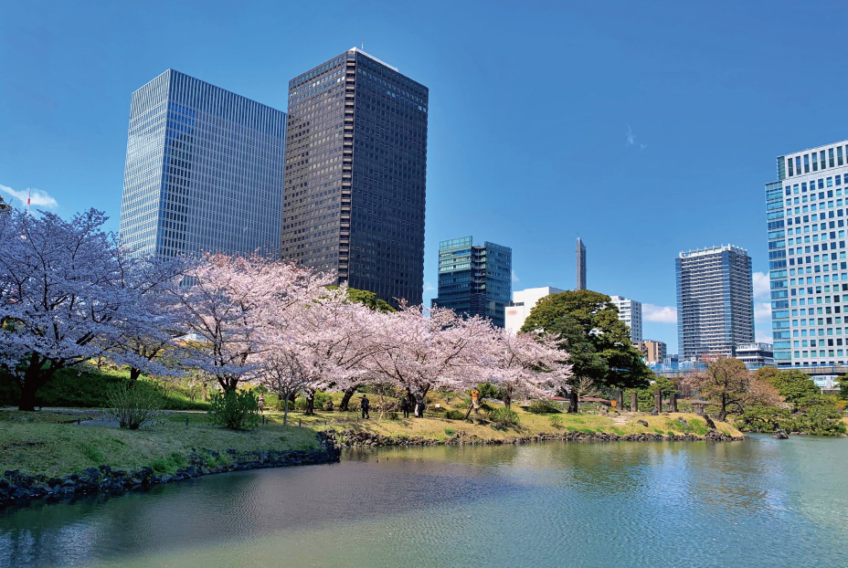 Kyu-Shiba-rikyu Gardens