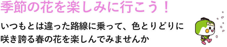季節の花を楽しみに行こう！いつもとは違った路線に乗って、色とりどりに咲き誇る春の花を楽しんでみませんか