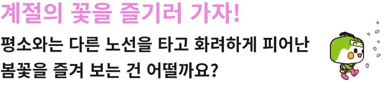 계절의 꽃을 즐기러 가자!평소와는 다른 노선을 타고 화려하게 피어난 봄꽃을 즐겨 보는 건 어떨까요?