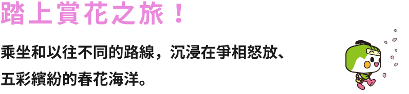 踏上賞花之旅！乘坐和以往不同的路線，沉浸在爭相怒放、五彩繽紛的春花海洋。