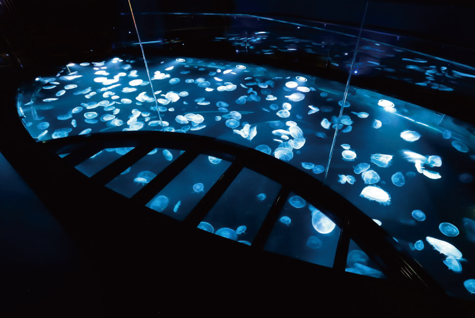 すみだ水族館