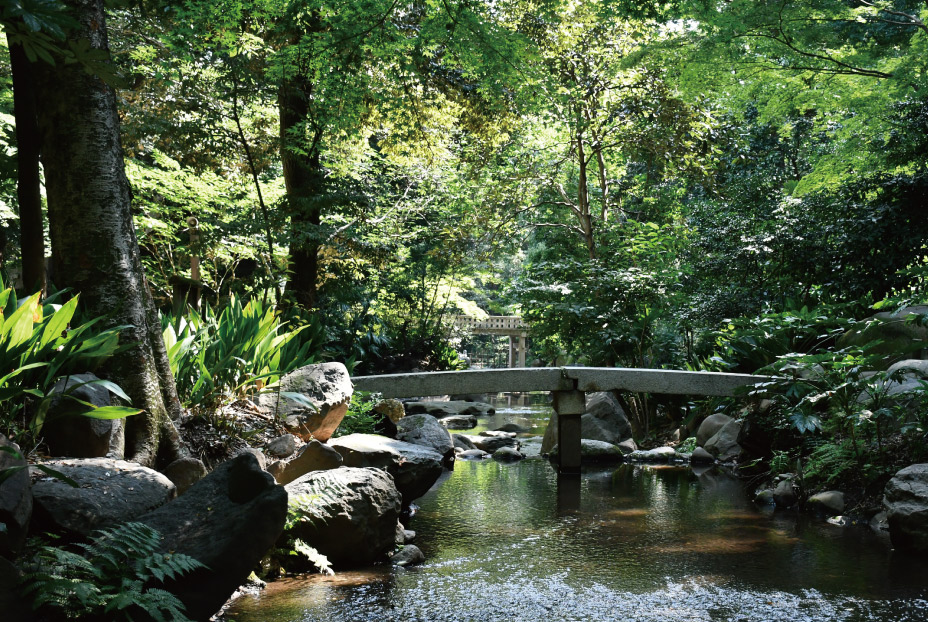 名主の滝公園