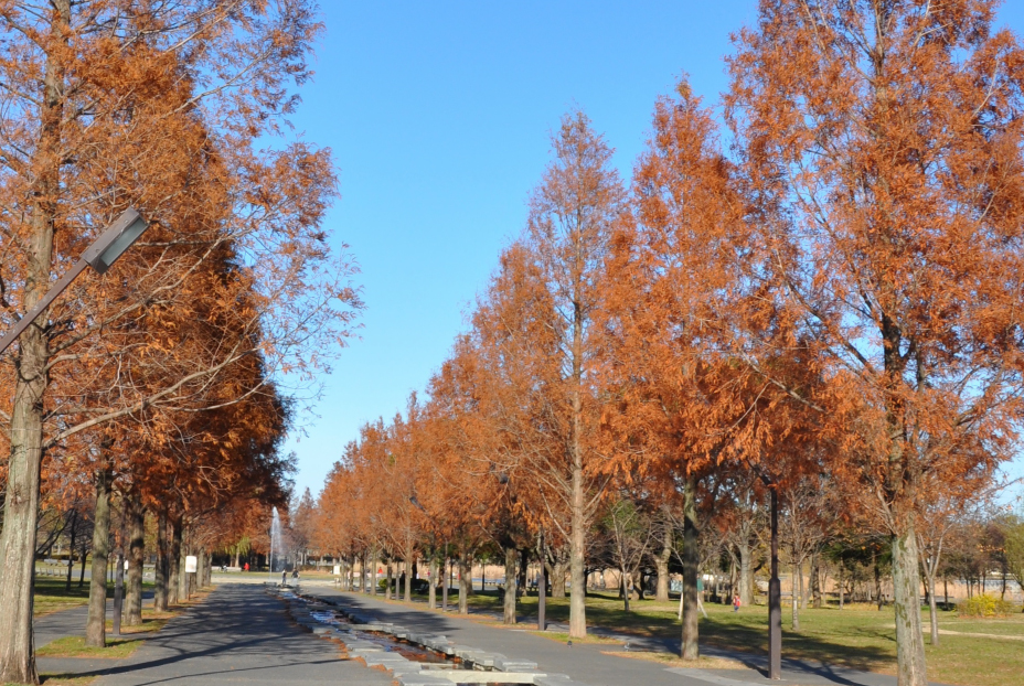 舎人公園