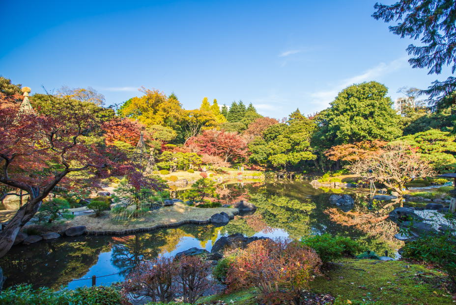 舊古河庭園