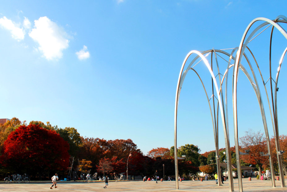 光が丘公園