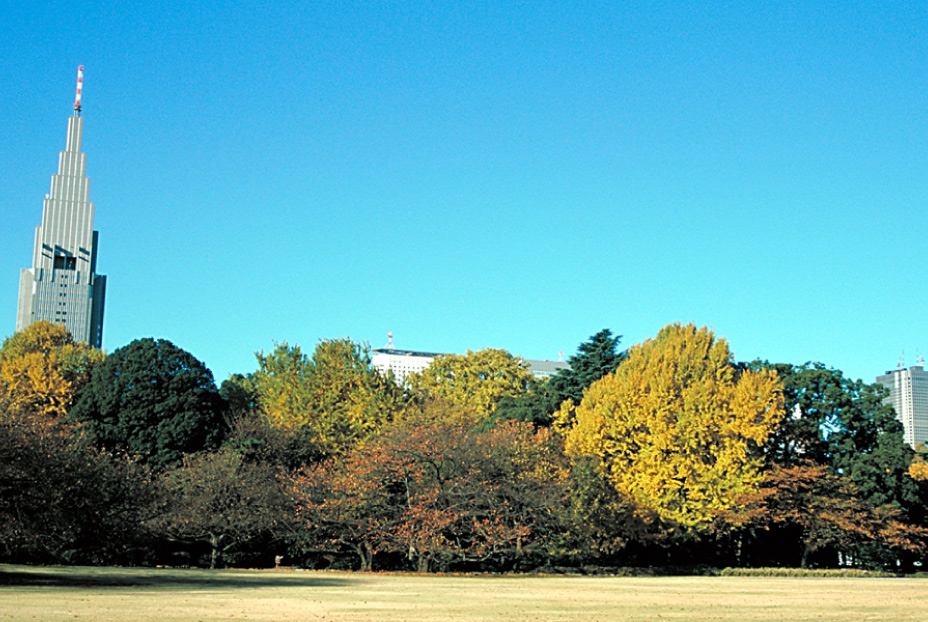 Shinjuku Gyoen National Garden