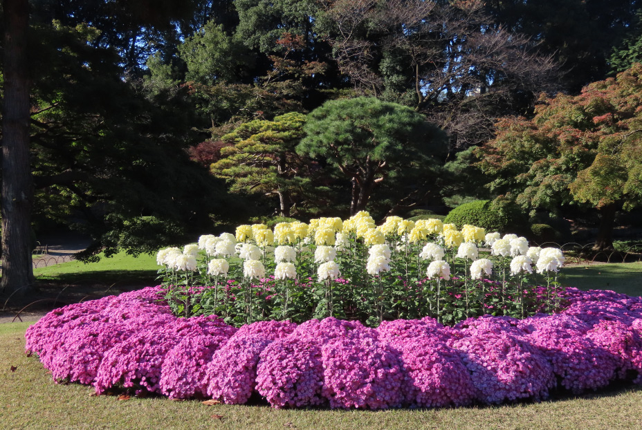 Shinjuku Gyoen National Garden