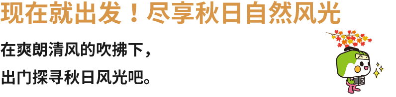 现在就出发！尽享秋日自然风光 在爽朗清风的吹拂下，出门探寻秋日风光吧。