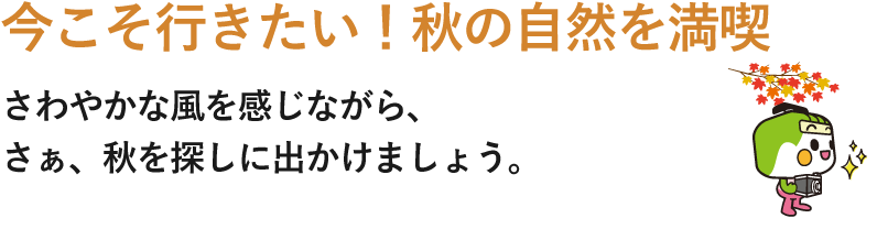 今こそ行きたい！秋の自然を満喫 さわやかな風を感じながら、さぁ、秋を探しに出かけましょう。