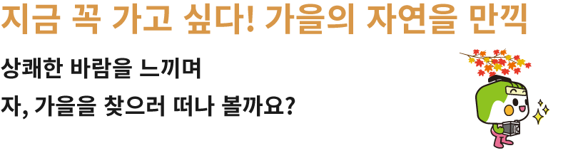 지금 꼭 가고 싶다! 가을의 자연을 만끽 상쾌한 바람을 느끼며 자, 가을을 찾으러 떠나 볼까요?