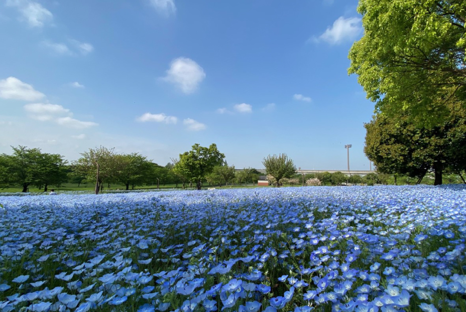 舎人公園