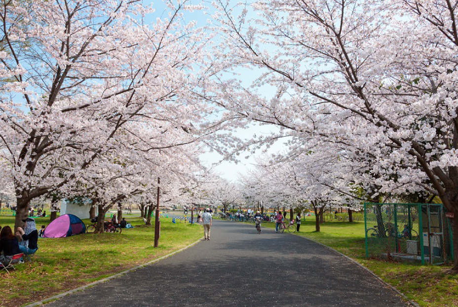 舎人公園