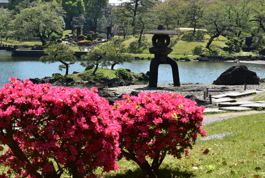 Kyu-Shiba-rikyu Gardens