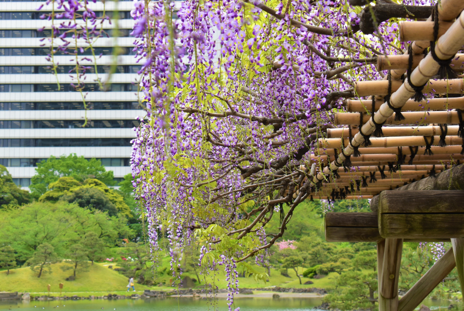 舊芝離宮恩賜庭園