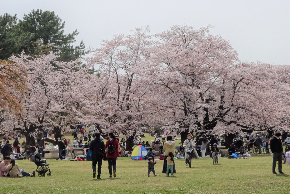 光が丘公園