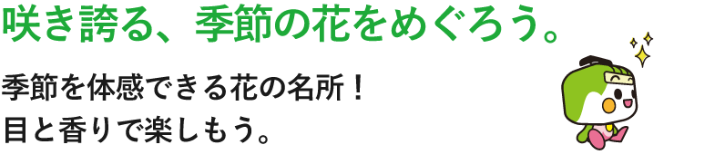 咲き誇る、季節の花をめぐろう。季節を体感できる花の名所！目と香りで楽しもう。