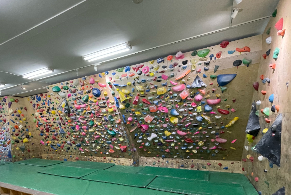 PIGLET CLIMBING GYM
