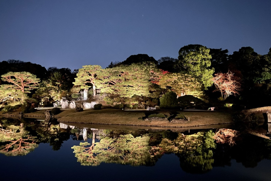 庭紅葉の六義園　夜間特別観賞